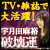 TV�E�G���ő劈��I�g�߂�������K���֓����h�F���c���T�u�j��^�v