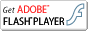 Adobe Flash Player Adobe Flash Player