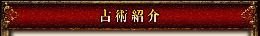 占術紹介
