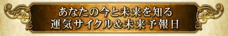 国内外メディア絶賛×超高精緻鑑定◇ステラ薫子/ハーモニクス占星術 