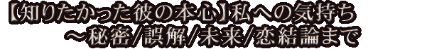 【知りたかった彼の本心】私への気持ち～秘密/誤解/未来/恋結論まで