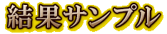 結果サンプル
