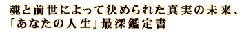 ƑOɂČ߂ꂽ^̖AuȂ̐lvŐ[Ӓ菑