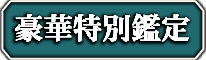 豪華特別鑑定