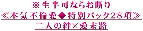 ※生半可ならお断り≪本気不倫愛◆特別パック28項≫二人の絆×愛末路